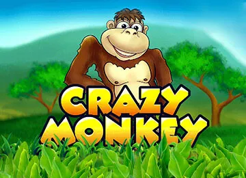 crazy monkey